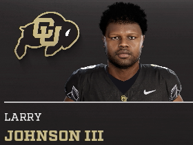 Larry Johnson III