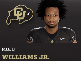 Mojo Williams Jr.