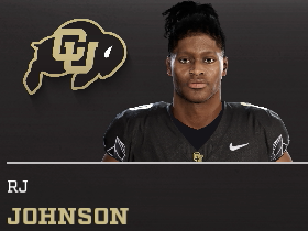 Rj Johnson
