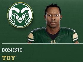 Dominic Toy