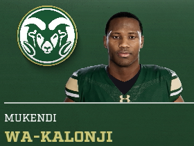 Mukendi Wa-Kalonji