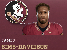 James Sims-Davidson