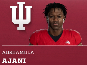 Adedamola Ajani