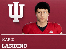 Mario Landino