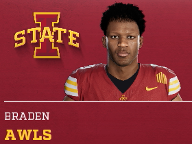 Braden Awls
