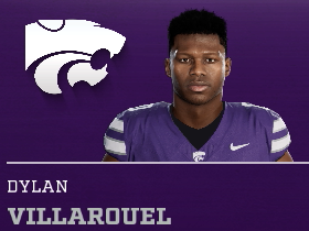 Dylan Villarouel