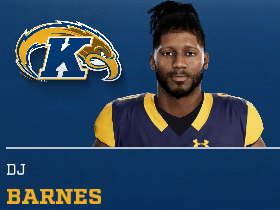 Dj Barnes