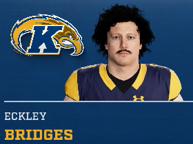 Eckley Bridges