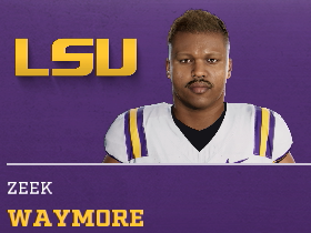 Zeek Waymore