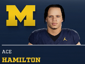 Ace Hamilton