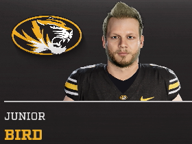 Junior Bird