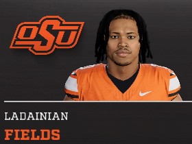 Ladainian Fields