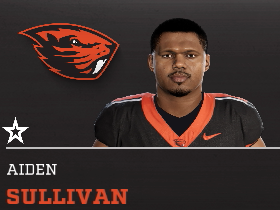Aiden Sullivan