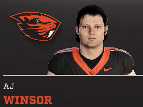 Aj Winsor
