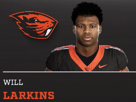 Will Larkins