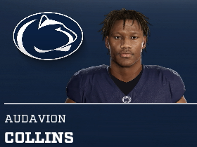 Audavion Collins