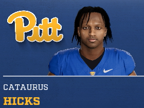 Cataurus Hicks