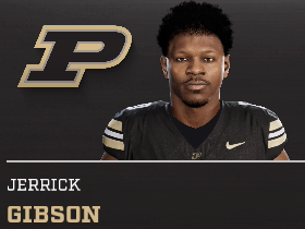 Jerrick Gibson