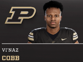 Vi'Naz Cobb