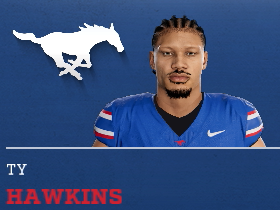Ty Hawkins