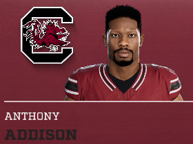 Anthony Addison