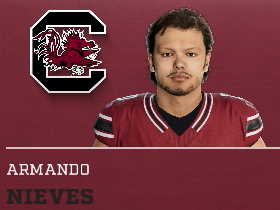 Armando Nieves