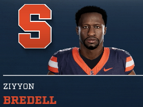 Ziyyon Bredell