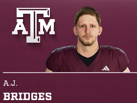 A.J. Bridges