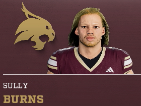 Sully Burns