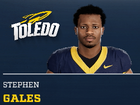 Stephen Gales