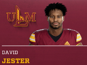 David Jester