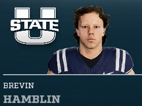Brevin Hamblin