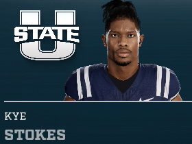 Kye Stokes