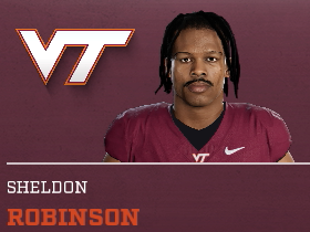 Sheldon Robinson