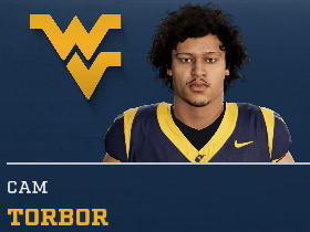 Cam Torbor