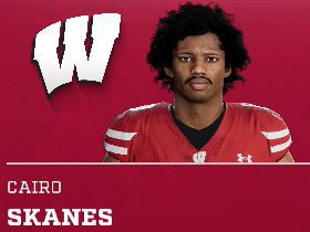 Cairo Skanes