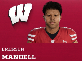 Emerson Mandell