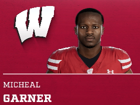 Micheal Garner