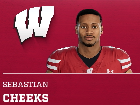 Sebastian Cheeks
