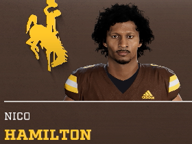 Nico Hamilton
