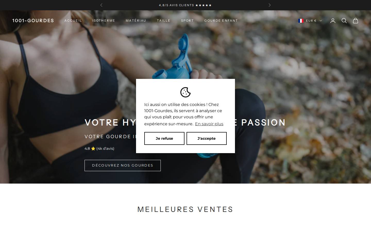 1001-gourdes.com homepage screenshot