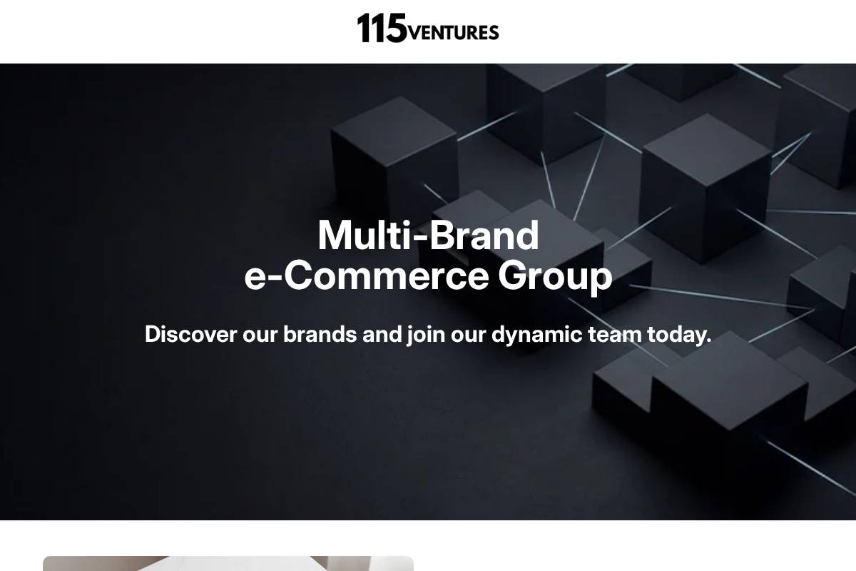 115ventures.com homepage screenshot
