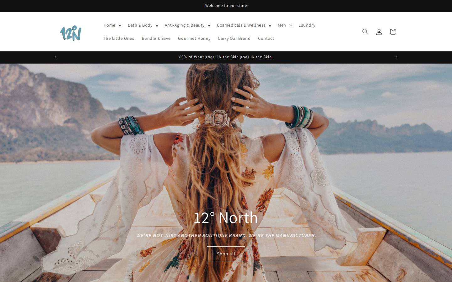 12dnorth.com homepage screenshot