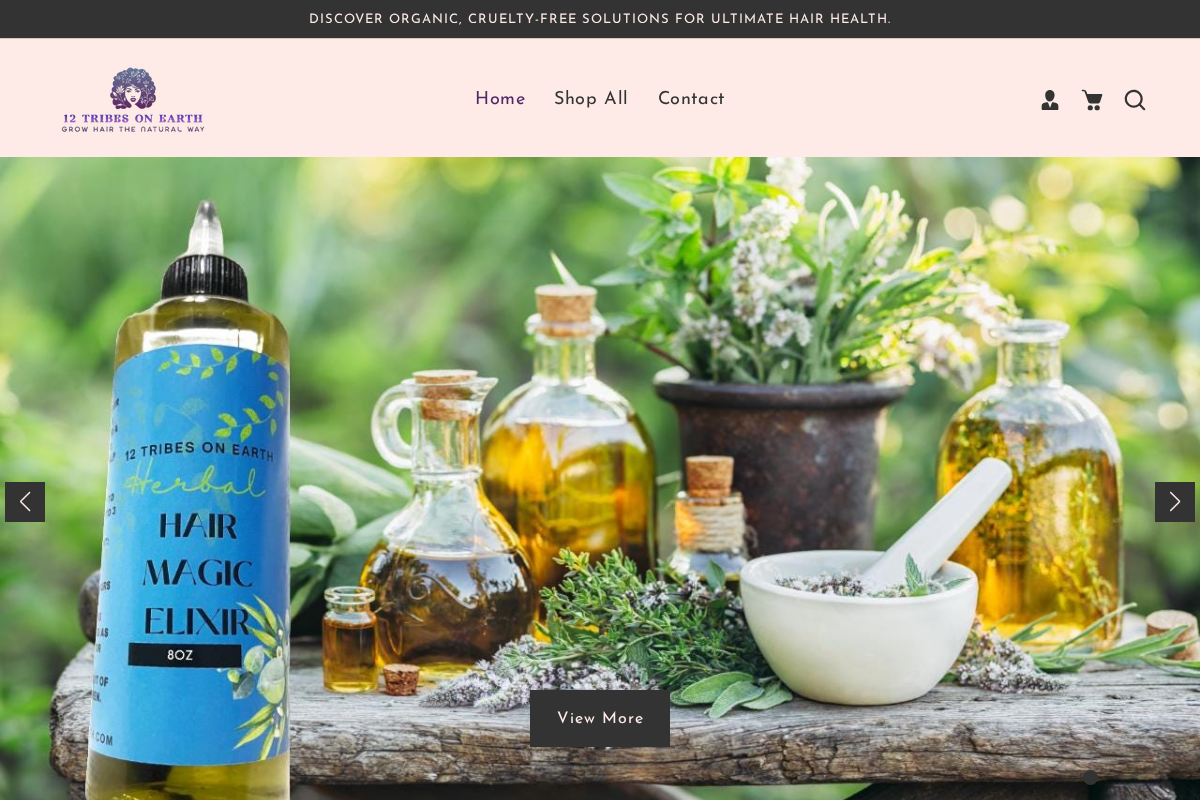 12tribesonearth.net homepage screenshot