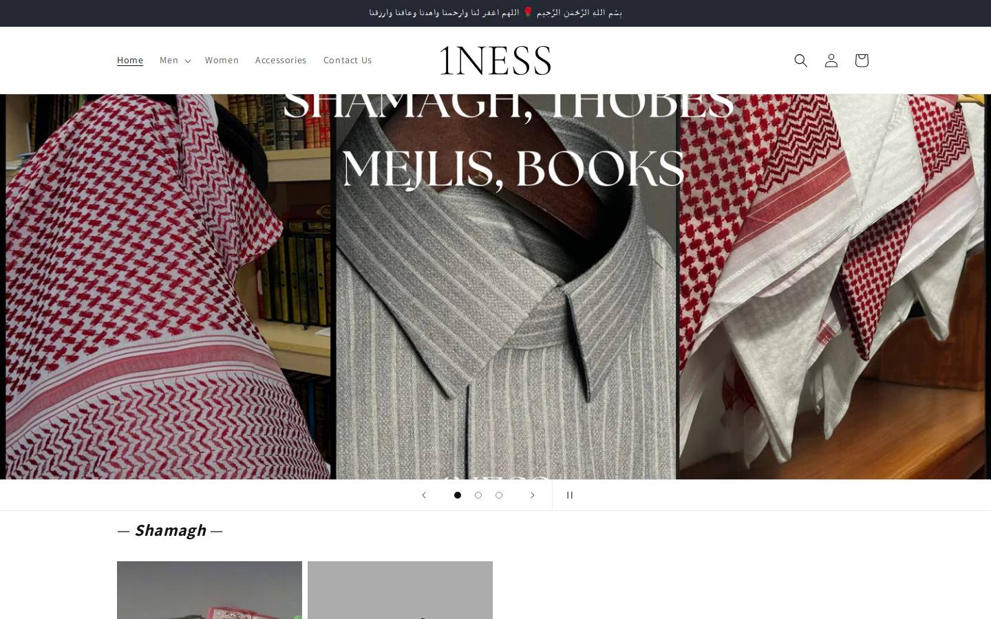 1ness.store homepage screenshot