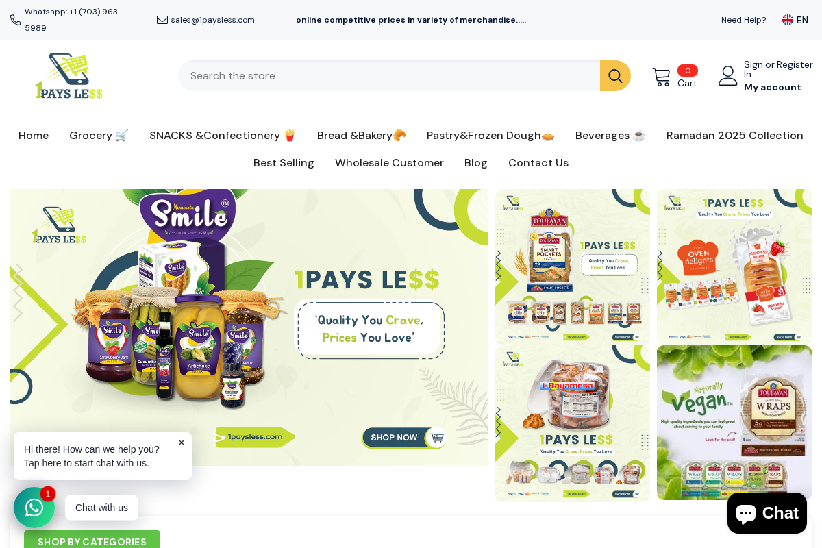 1PaysLess homepage screenshot