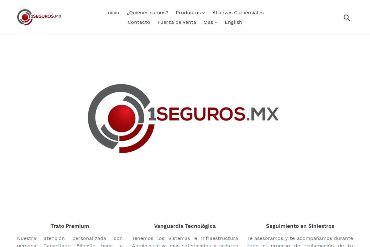 1seguros.mx homepage screenshot