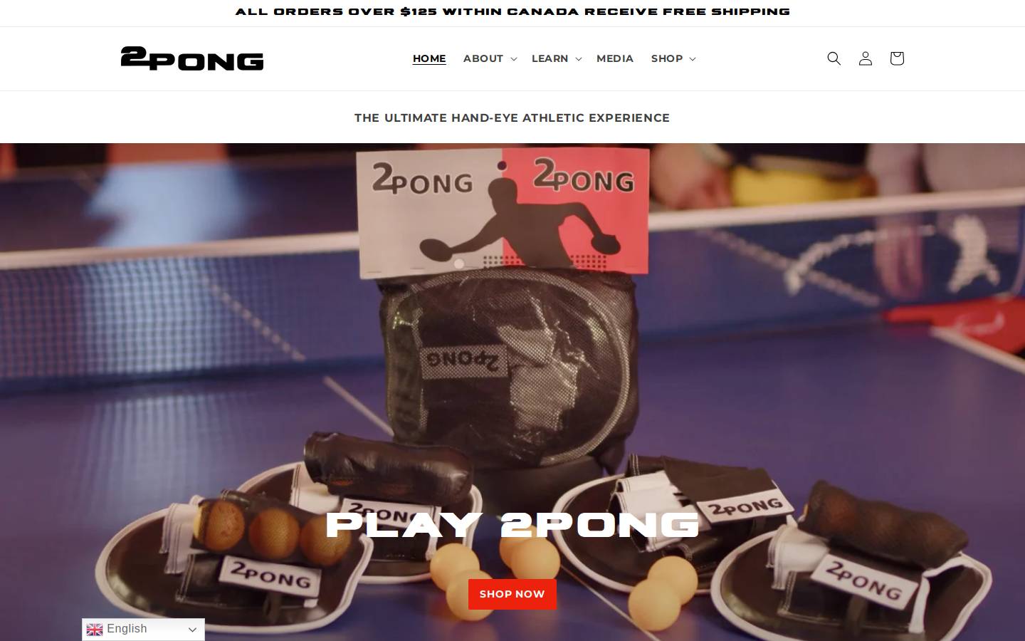2pong.com homepage screenshot