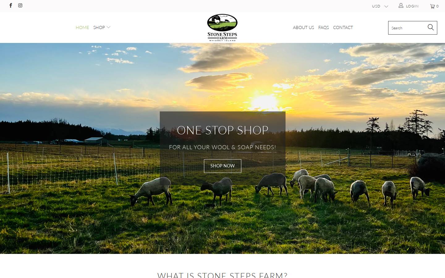 2sfwhidbey.com homepage screenshot