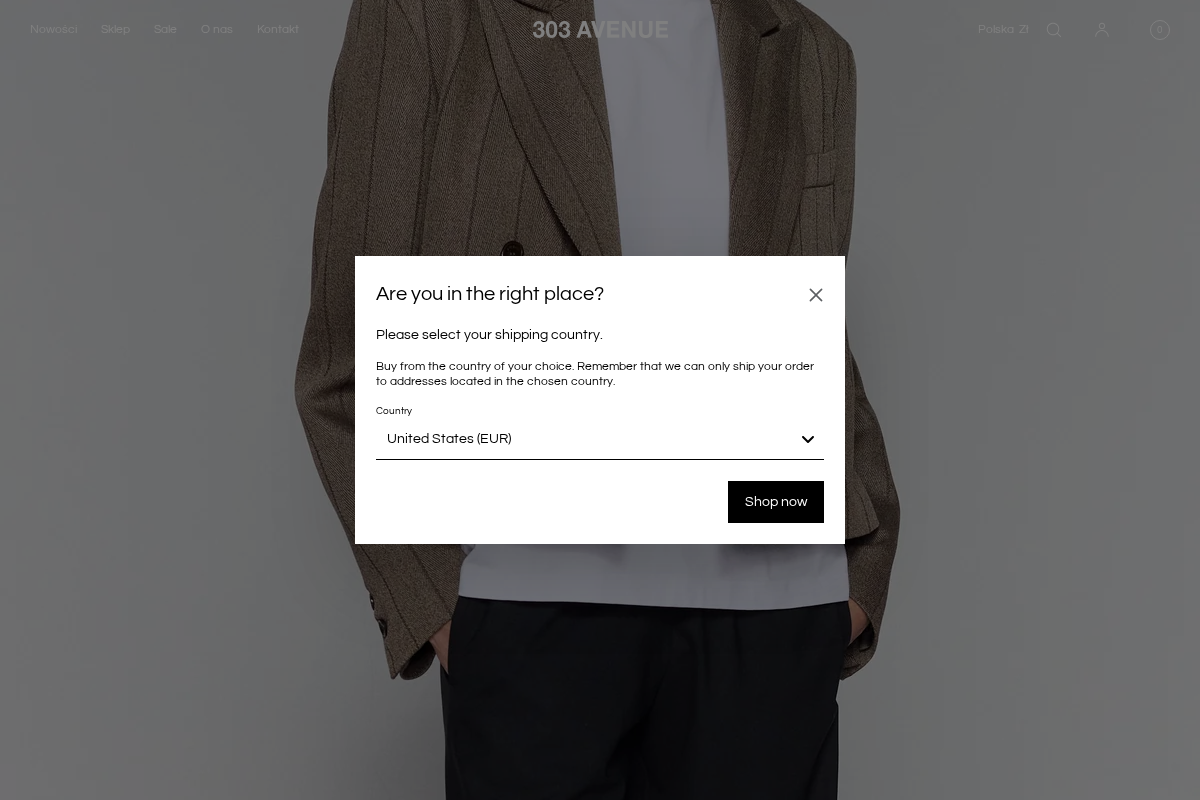 303 AVENUE homepage screenshot